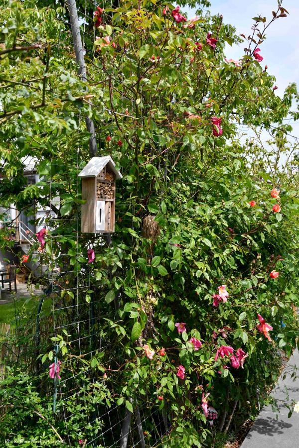 Les Glycines Mauves Bed and Breakfast Braine-lʼAlleud Exterior foto